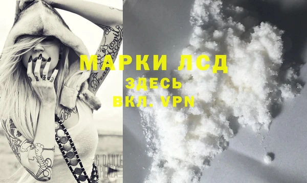 трава Аркадак